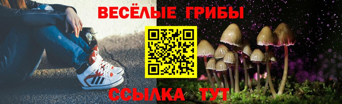 купить наркоту  Вход с VPN  Геленджик  Галлюциногенные грибы ЛСД 